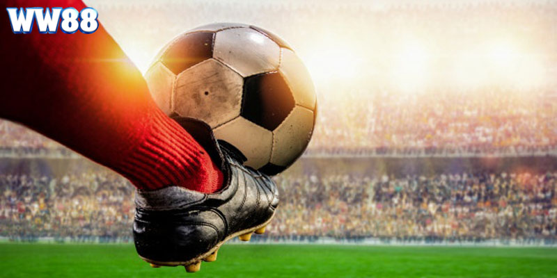 Cá cược bóng đá là thể loại được yêu thích